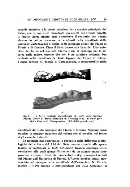 Le grotte d'Italia organo ufficiale dell'azienda autonoma di Stato delle R. Grotte demaniali di Postumia