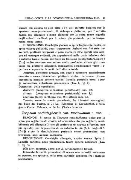 Le grotte d'Italia organo ufficiale dell'azienda autonoma di Stato delle R. Grotte demaniali di Postumia