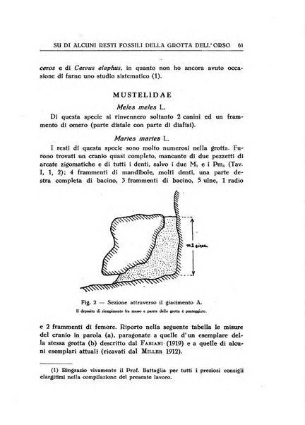 Le grotte d'Italia organo ufficiale dell'azienda autonoma di Stato delle R. Grotte demaniali di Postumia