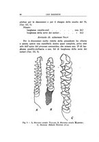 giornale/CFI0355748/1938-1944/unico/00000476