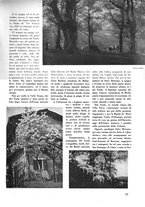 giornale/CFI0356022/1937/unico/00000151