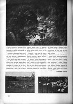 giornale/CFI0356022/1937/unico/00000152