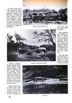 giornale/CFI0356022/1937/unico/00000366