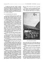 giornale/CFI0356027/1919/unico/00000029