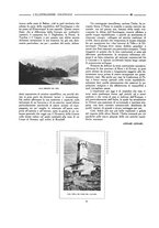 giornale/CFI0356027/1919/unico/00000094