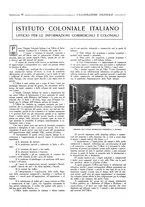 giornale/CFI0356027/1919/unico/00000111