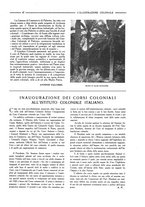 giornale/CFI0356027/1920/unico/00000057