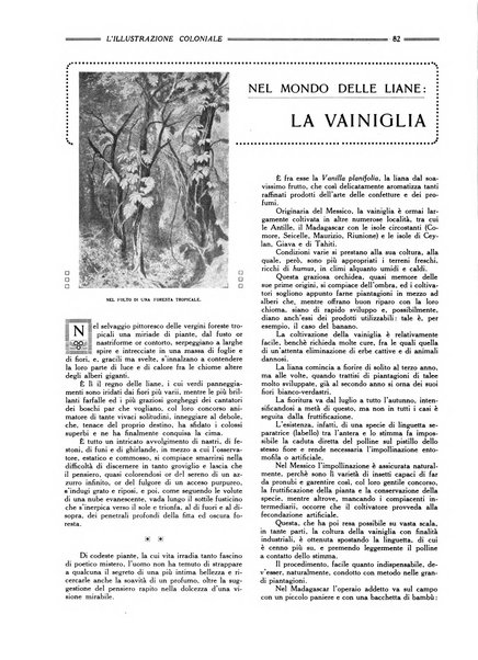 L'illustrazione coloniale rivista mensile sotto gli auspicii dell'Istituto coloniale italiano