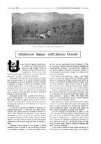 giornale/CFI0356027/1920/unico/00000265