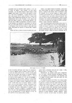 giornale/CFI0356027/1920/unico/00000334