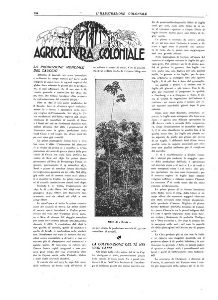 L'illustrazione coloniale rivista mensile sotto gli auspicii dell'Istituto coloniale italiano