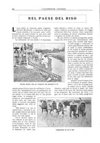 giornale/CFI0356027/1922/unico/00000260