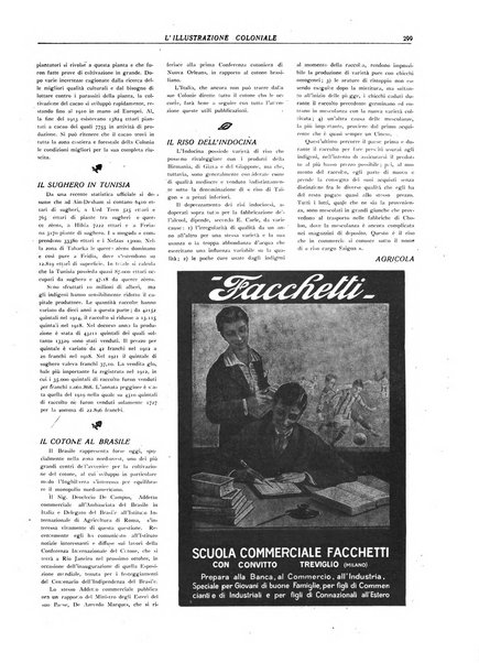 L'illustrazione coloniale rivista mensile sotto gli auspicii dell'Istituto coloniale italiano