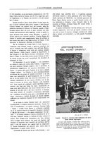 giornale/CFI0356027/1923/unico/00000025