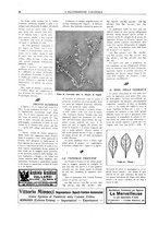 giornale/CFI0356027/1923/unico/00000036