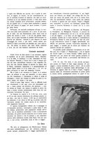 giornale/CFI0356027/1923/unico/00000207