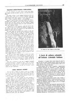 giornale/CFI0356027/1923/unico/00000253