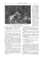 giornale/CFI0356027/1923/unico/00000360