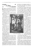 giornale/CFI0356027/1924/unico/00000029