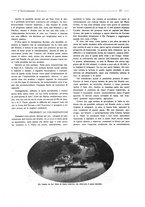 giornale/CFI0356027/1924/unico/00000135