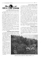 giornale/CFI0356027/1924/unico/00000143