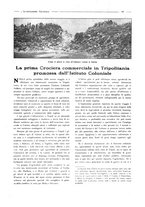 giornale/CFI0356027/1924/unico/00000213