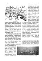 giornale/CFI0356027/1924/unico/00000248