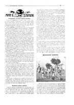 giornale/CFI0356027/1924/unico/00000255