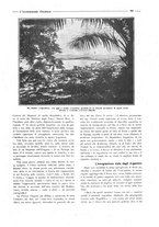 giornale/CFI0356027/1924/unico/00000287