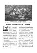 giornale/CFI0356027/1925/unico/00000019