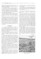 giornale/CFI0356027/1925/unico/00000137