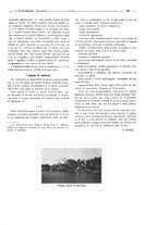 giornale/CFI0356027/1925/unico/00000321