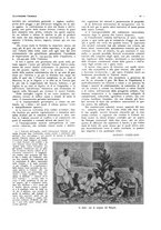 giornale/CFI0356027/1928/unico/00000025