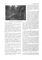 giornale/CFI0356027/1928/unico/00000168
