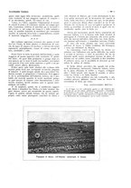 giornale/CFI0356027/1928/unico/00000169