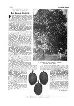 giornale/CFI0356027/1928/unico/00000172