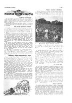 giornale/CFI0356027/1928/unico/00000177
