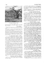 giornale/CFI0356027/1928/unico/00000178