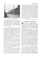 giornale/CFI0356027/1928/unico/00000228