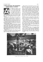 giornale/CFI0356027/1928/unico/00000275