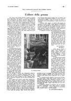 giornale/CFI0356027/1928/unico/00000317