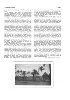 giornale/CFI0356027/1928/unico/00000551