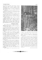giornale/CFI0356027/1928/unico/00000613