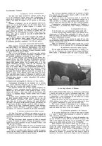 giornale/CFI0356027/1929/unico/00000061