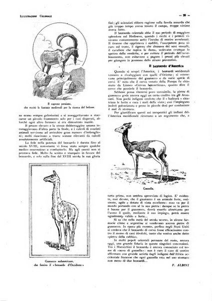 L'illustrazione coloniale rivista mensile sotto gli auspicii dell'Istituto coloniale italiano