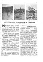 giornale/CFI0356027/1930/unico/00000393