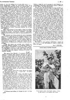 giornale/CFI0356027/1931/unico/00000035
