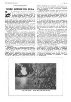 giornale/CFI0356027/1931/unico/00000079