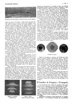 giornale/CFI0356027/1931/unico/00000477