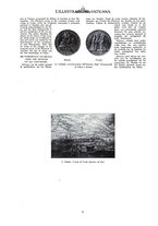giornale/CFI0356069/1931/unico/00000088